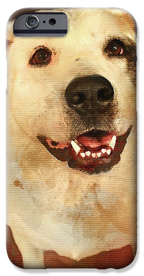 Good Dog iPhone 6 Case featuring the photograph Good Dog by Bellesouth Studio