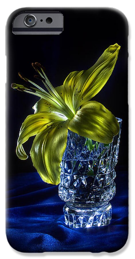 Lily iPhone 6 Case featuring the photograph Light inside by Alexey Kljatov