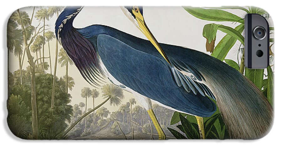 #faatoppicks iPhone 6 Case featuring the painting Louisiana Heron by John James Audubon