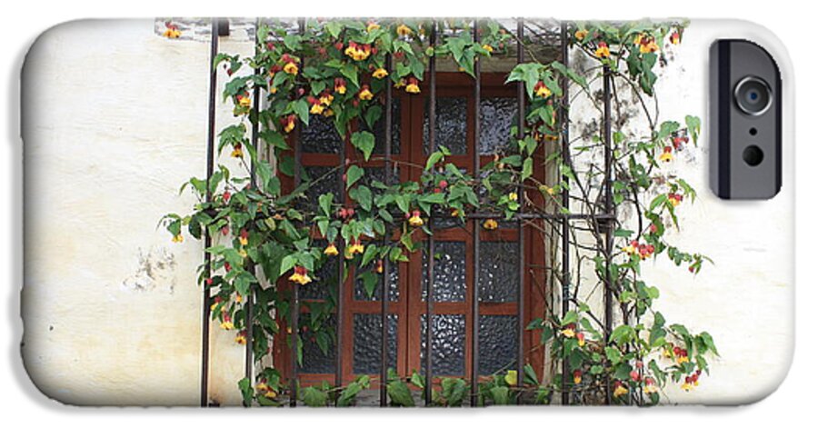 Mission Window iPhone 6 Case featuring the photograph Mission Window with Yellow Flowers by Carol Groenen
