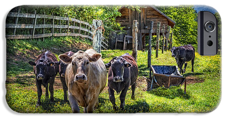 Appalachia iPhone 6 Case featuring the photograph Moo... by Debra and Dave Vanderlaan