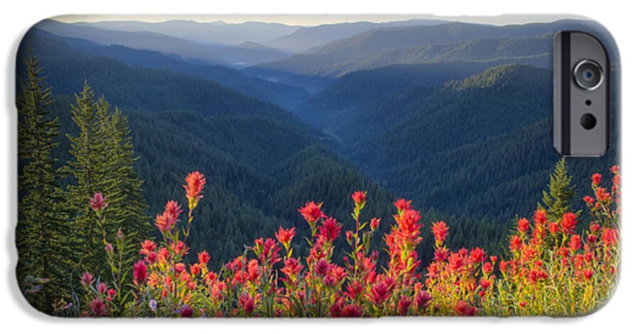 Idaho iPhone 6 Case featuring the photograph Painted Forest by Idaho Scenic Images Linda Lantzy