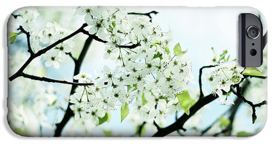 Pear Tree iPhone 6 Case featuring the photograph Pale Pear Blossom by Jessica Jenney