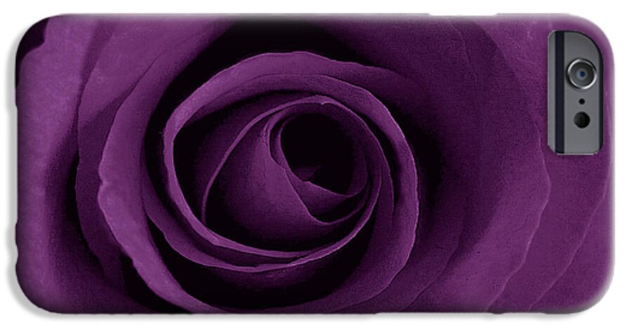 Rose iPhone 6 Case featuring the photograph Purple Rose of Artsy by Leonard Rosenfield