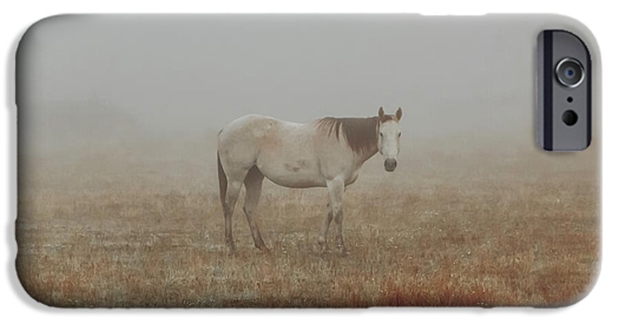 Horse iPhone 6 Case featuring the photograph Red Roan In Mist by Robert Frederick