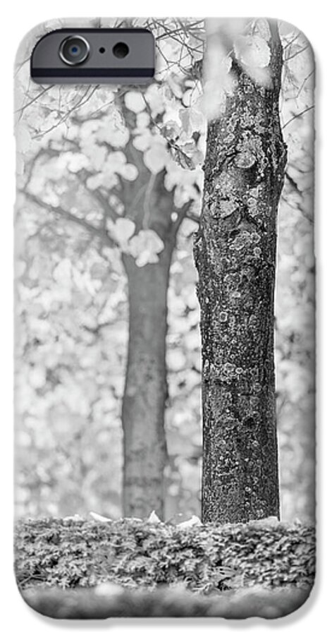 Tree iPhone 6 Case featuring the photograph Separate by Hitendra SINKAR