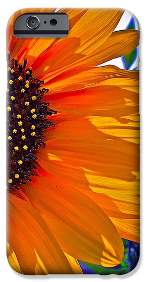 Photographs iPhone 6 Case featuring the photograph Shhhhh by Gwyn Newcombe