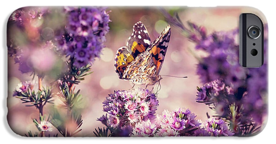 Flower iPhone 6 Case featuring the photograph The First Day of Summer by Linda Lees