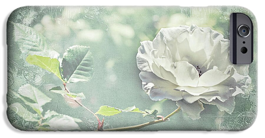 Rose iPhone 6 Case featuring the photograph Thoughts of You by Linda Lees