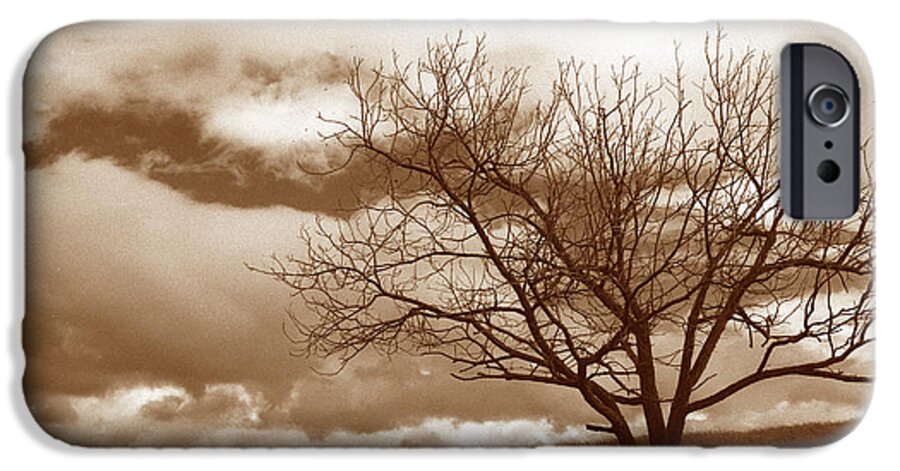 Trees iPhone 6 Case featuring the photograph Tree in Storm by Kathy Yates