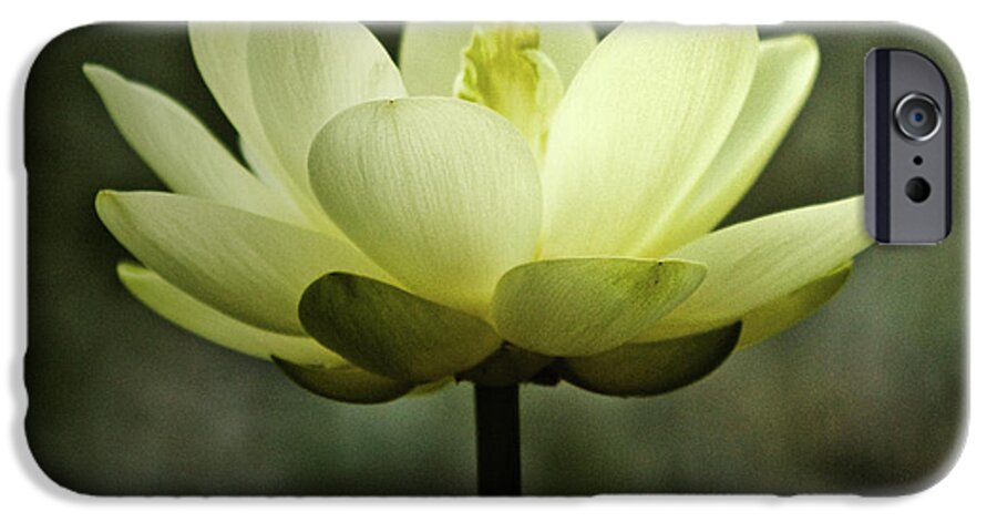 Lotus iPhone 6 Case featuring the photograph Water Colors by Scott Pellegrin