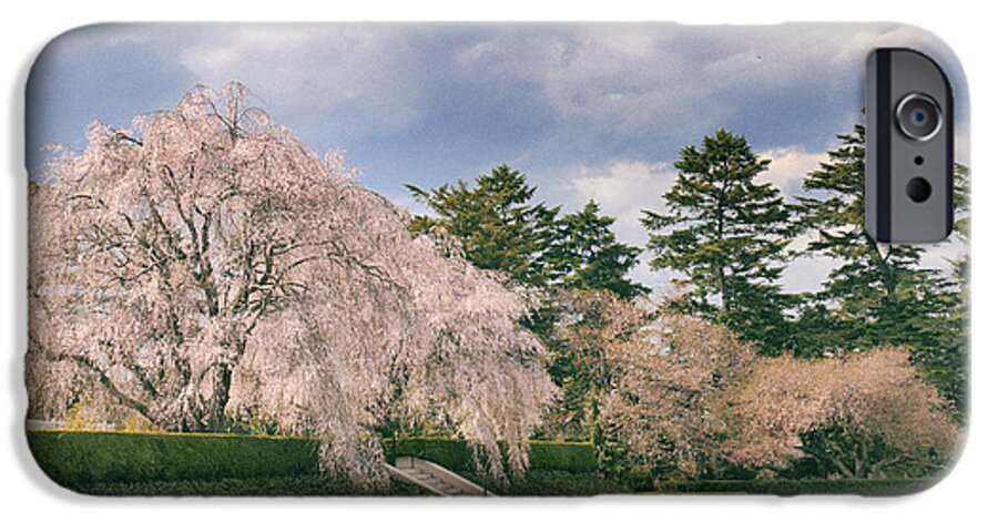 Cherry Trees iPhone 6 Case featuring the photograph Weeping Cherry in Bloom by Jessica Jenney