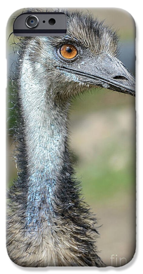 Wildlife iPhone 6 Case featuring the photograph Emu 2 by Werner Padarin