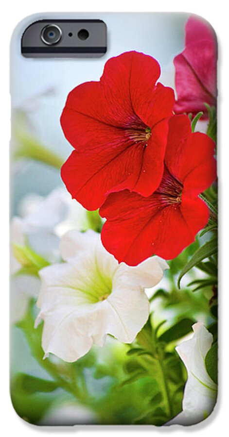 Flowers iPhone 6 Case featuring the photograph Antique Petunia Flowers by Christina Rollo