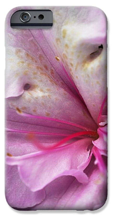 Azalea Indica Rosa Belton iPhone 6 Case featuring the photograph Azaleas Heart by Joy Watson