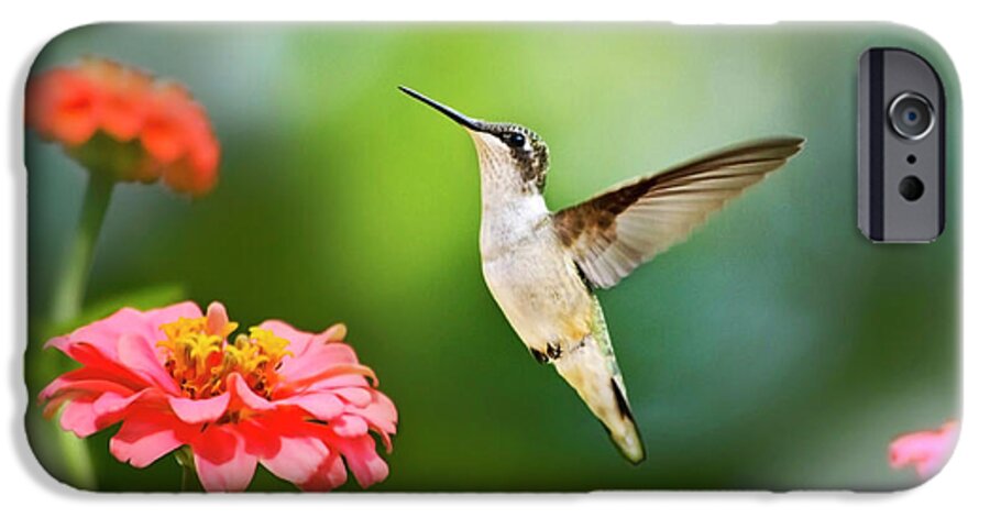 Hummingbird iPhone 6 Case featuring the photograph Sweet Promise Hummingbird by Christina Rollo