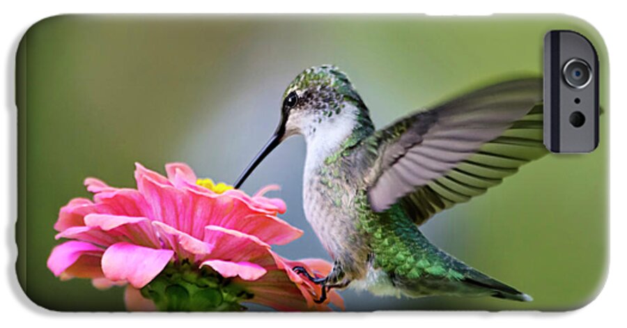Hummingbird iPhone 6 Case featuring the photograph Tranquil Joy Hummingbird Square by Christina Rollo