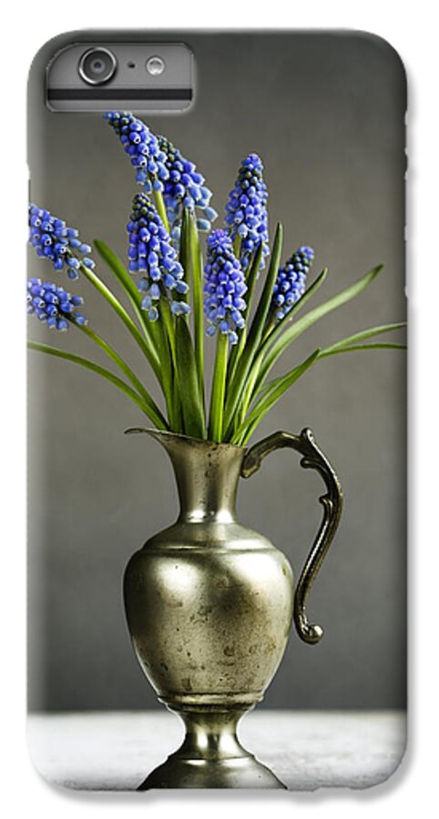 Hyacinth iPhone 6 Plus Case featuring the photograph Hyacinth Still Life #1 by Nailia Schwarz