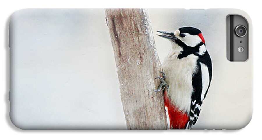 Animal iPhone 6 Plus Case featuring the photograph Woodpecker #3 by Heike Hultsch
