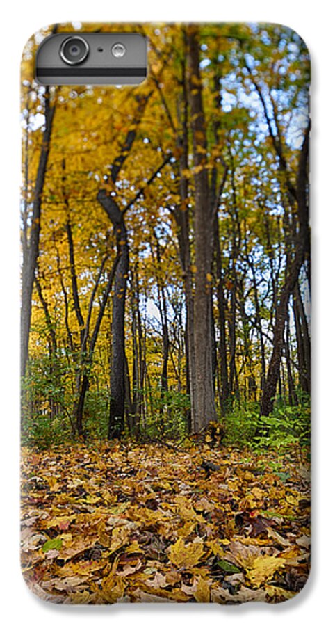 Fall iPhone 6 Plus Case featuring the photograph Autumn is Here by Sebastian Musial