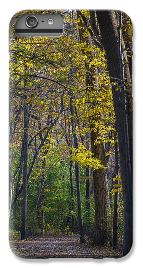 Fall iPhone 6 Plus Case featuring the photograph Autumn Trees Alley by Sebastian Musial