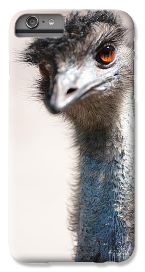 Emu iPhone 6 Plus Case featuring the photograph Curious Emu by Carol Groenen