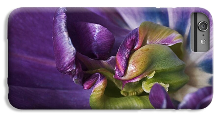 Purple iPhone 6 Plus Case featuring the photograph Heart of a Purple Tulip by Rona Black