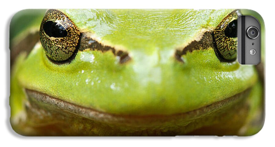 Adult iPhone 6 Plus Case featuring the photograph It's Not Easy Being Green _ Tree Frog Portrait by Roeselien Raimond