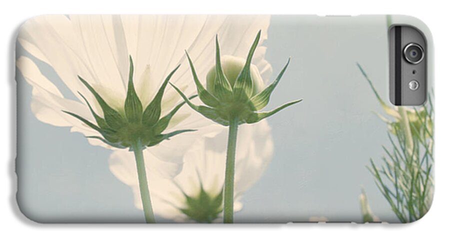 Flower iPhone 6 Plus Case featuring the photograph Looking Up by Kim Hojnacki