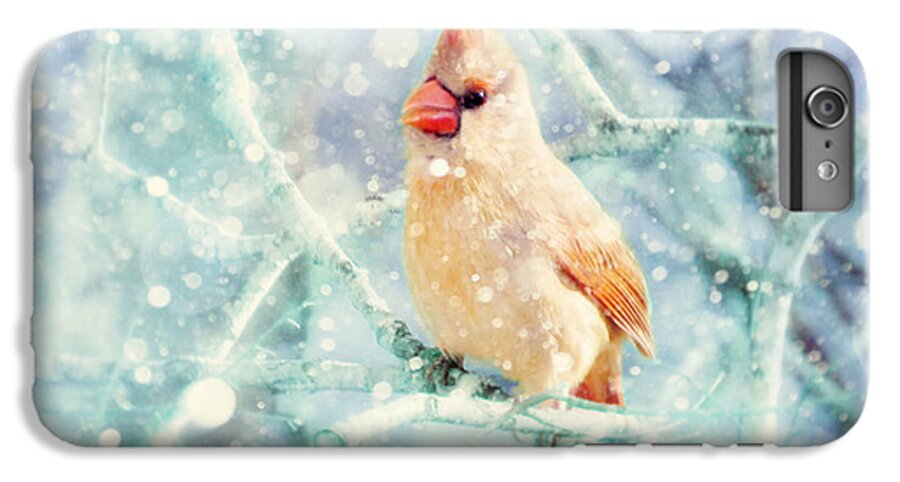 Female Cardinal iPhone 6 Plus Case featuring the photograph Peaches in the Snow by Amy Tyler