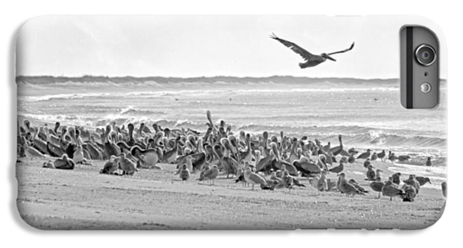Pelican iPhone 6 Plus Case featuring the photograph Pelican Convention by Betsy Knapp