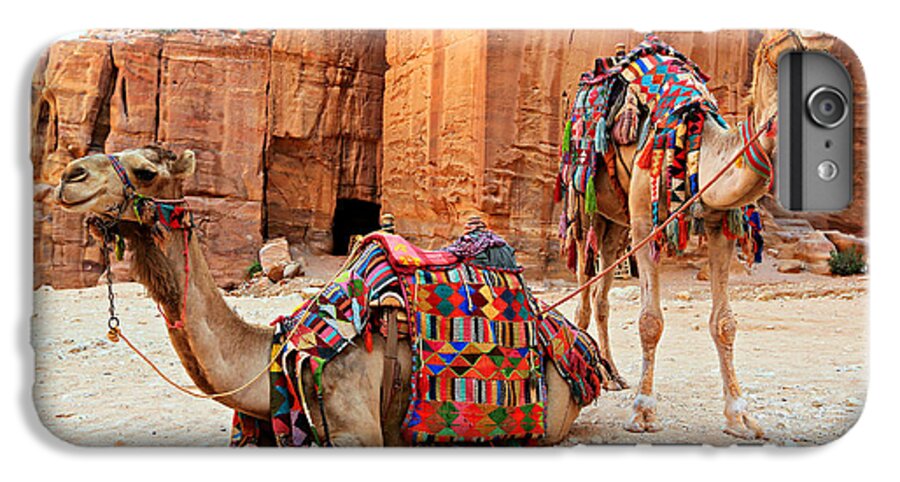 Ancient iPhone 6 Plus Case featuring the photograph Petra Camels by Stephen Stookey