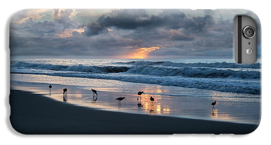 Romance iPhone 6 Plus Case featuring the photograph Sandpipers in Paradise by Betsy Knapp