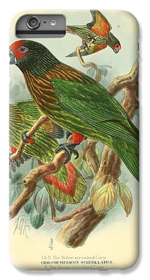 Streaked Lory iPhone 6 Plus Case featuring the painting Streaked Lory by Dreyer Wildlife Print Collections 