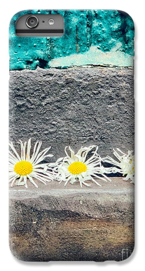 Copy Space iPhone 6 Plus Case featuring the photograph Three daisies stuck in a door by Silvia Ganora