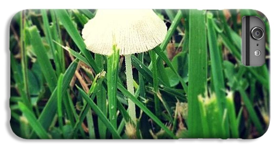 Mushroom iPhone 6 Plus Case featuring the photograph Tiny Mushroom In Grass #mushroom #grass by Marianna Mills