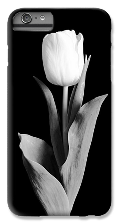 Tulip iPhone 6 Plus Case featuring the photograph Tulip by Sebastian Musial