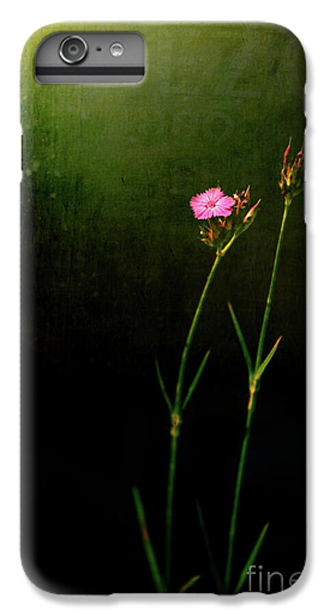 Flower iPhone 6 Plus Case featuring the photograph Seeking light by Silvia Ganora