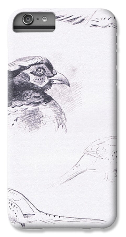 Pheasant iPhone 6 Plus Case featuring the drawing Pheasants by Archibald Thorburn