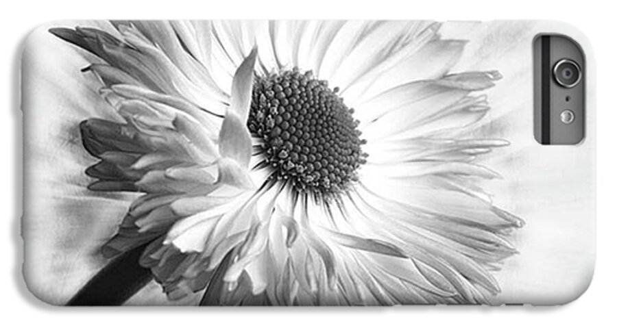 Beautiful iPhone 6 Plus Case featuring the photograph Bellis In Mono 
#flower #flowers by John Edwards
