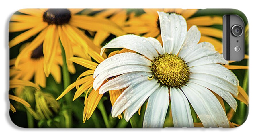 White iPhone 6 Plus Case featuring the photograph Bride and Bridesmaids by Bill Pevlor