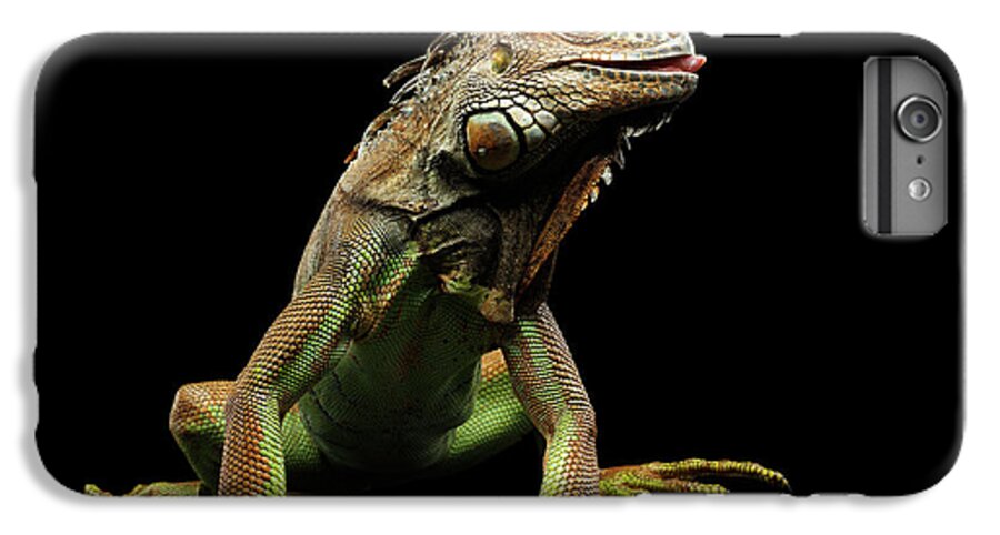 Iguana iPhone 6 Plus Case featuring the photograph Closeup Green Iguana Isolated on Black Background by Sergey Taran