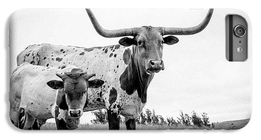 Cow iPhone 6 Plus Case featuring the photograph Cow and Calf in the Pasture by Sherri Rieck