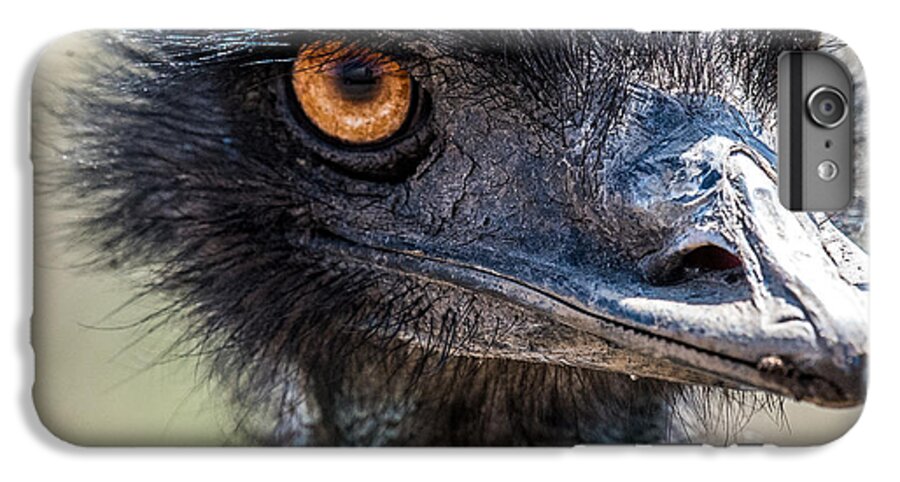 Emu iPhone 6 Plus Case featuring the photograph Emu Eyes by Paul Freidlund