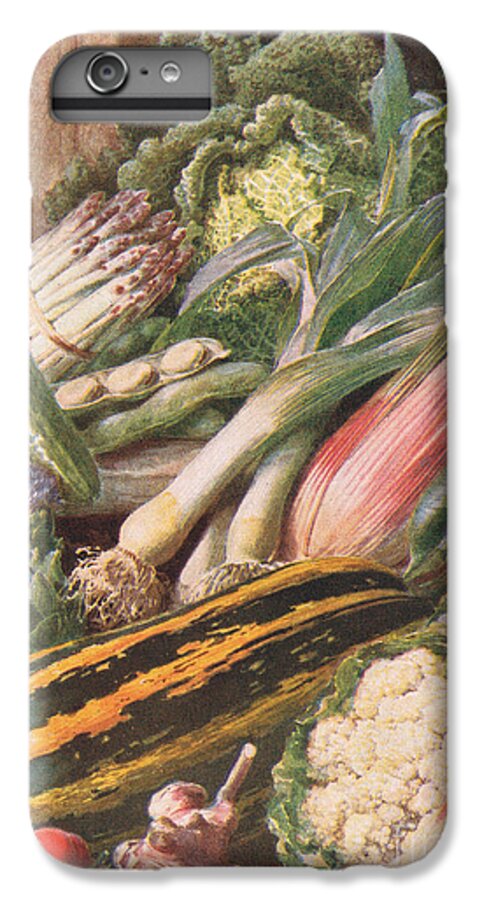 Garden Vegetables iPhone 6 Plus Case featuring the painting Garden Vegetables by Louis Fairfax Muckley