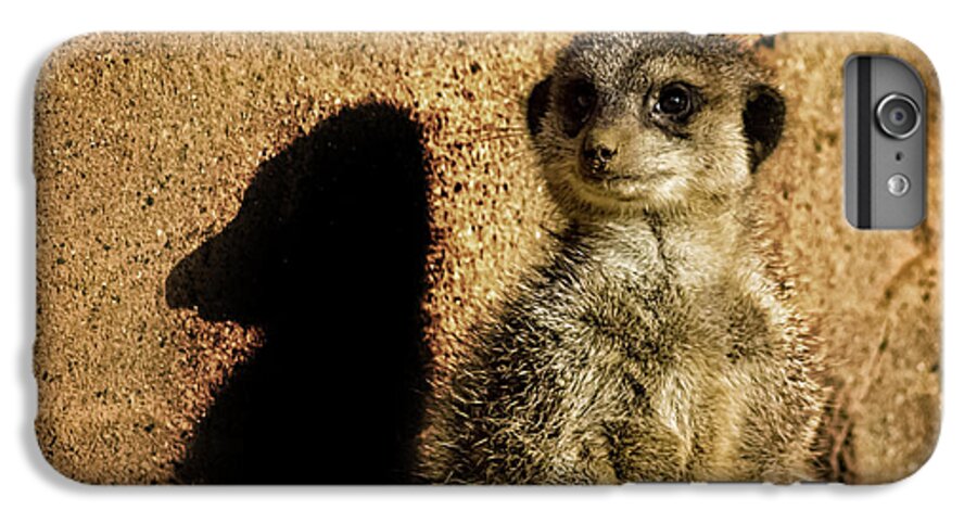 Meerkat iPhone 6 Plus Case featuring the photograph Me and My Shadow by Martin Newman