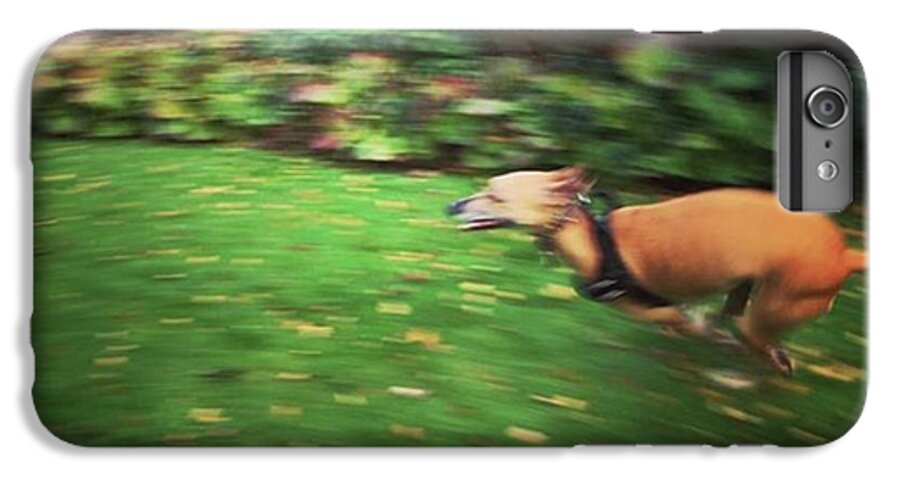 Lurcher iPhone 6 Plus Case featuring the photograph Mr Finly Enjoying A Few Rapid Laps Of by John Edwards