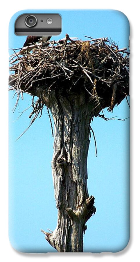 Osprey iPhone 6 Plus Case featuring the photograph Osprey Point by Karen Wiles