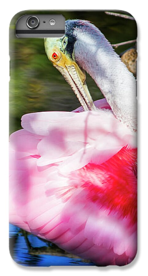 Roseate Spoonbill iPhone 6 Plus Case featuring the photograph Preening Spoonbill by Mark Andrew Thomas