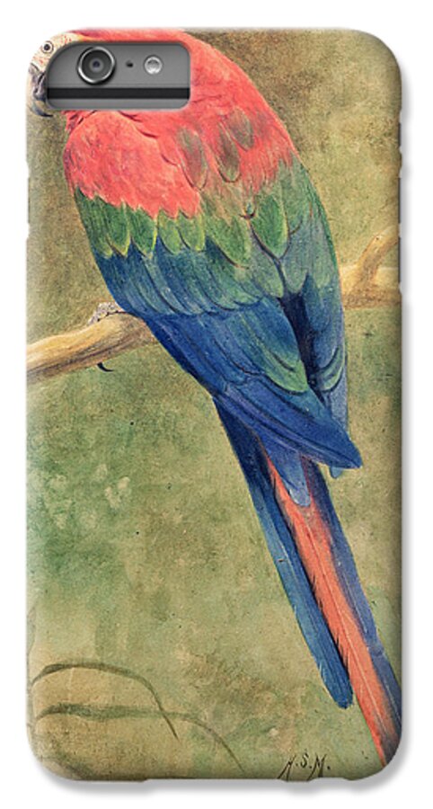 Red iPhone 6 Plus Case featuring the painting Red and Blue Macaw by Henry Stacey Marks